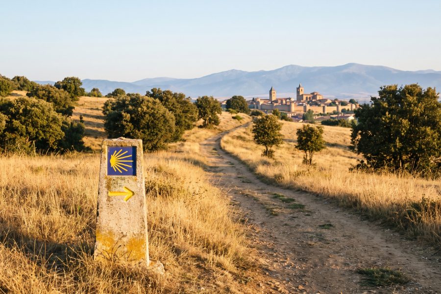 Camino de Santiago entre encinas al amanecer con mojón jacobeo y Astorga al fondo